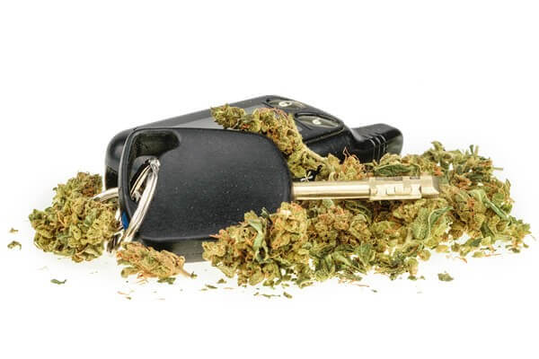 drug driving limit cannabis willow glen